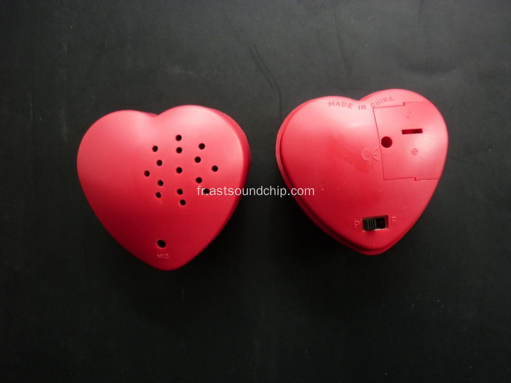 Enregistreur vocal en forme de coeur, collier enregistrable avec coeur