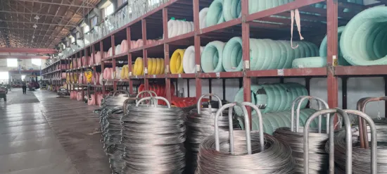 201 stainless steel shaft wire coil wire