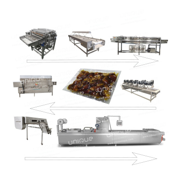 Dates Production Line: Washing and Processing