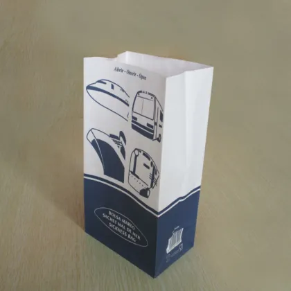 Air Travel Health Supplies: Sick Bag Essentials