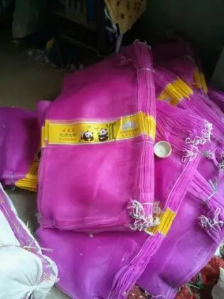 Fresh Garlic to Sri lanka