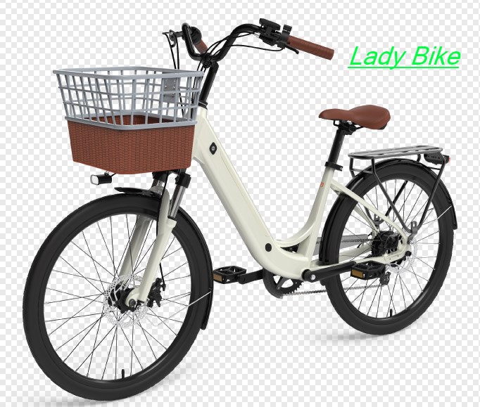 Pedal Assist Bike