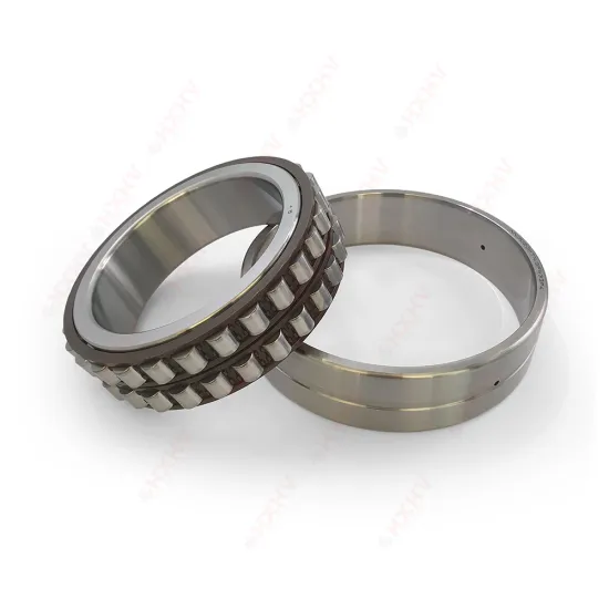 NN3020 NN3020KTN SPW33P4 Double Row Cylindrical Roller Bearings 100x150x37mm Chrome Steel HXHV