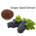 Buy online active ingredients Grape Seed Extract powder