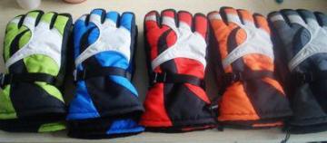 High Quality Warm Fashion Ski Gloves (JSG-15014)