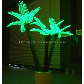 High Quality Coconut TreeLight
