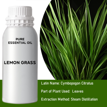 Olio essenziale di citronella puro e naturale al 100% per diffusore e aromaterapia, profumo per pelle, massaggi, candele e sapone