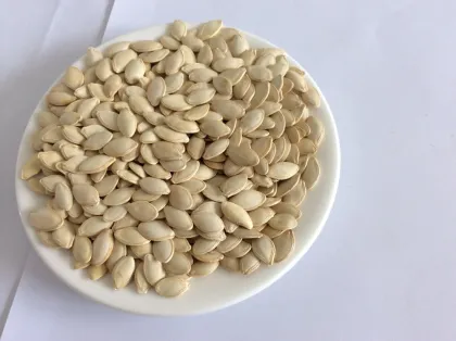 China inner mongolia wholesale shine skin pumpkin seeds