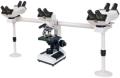 Niedriger Preis Lab Multi Viewing Mikroskop