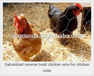 HEXAGONAL Chicken wire netting for chicken, bantam chickens for sale, poultry, peacock, pig, pheasant