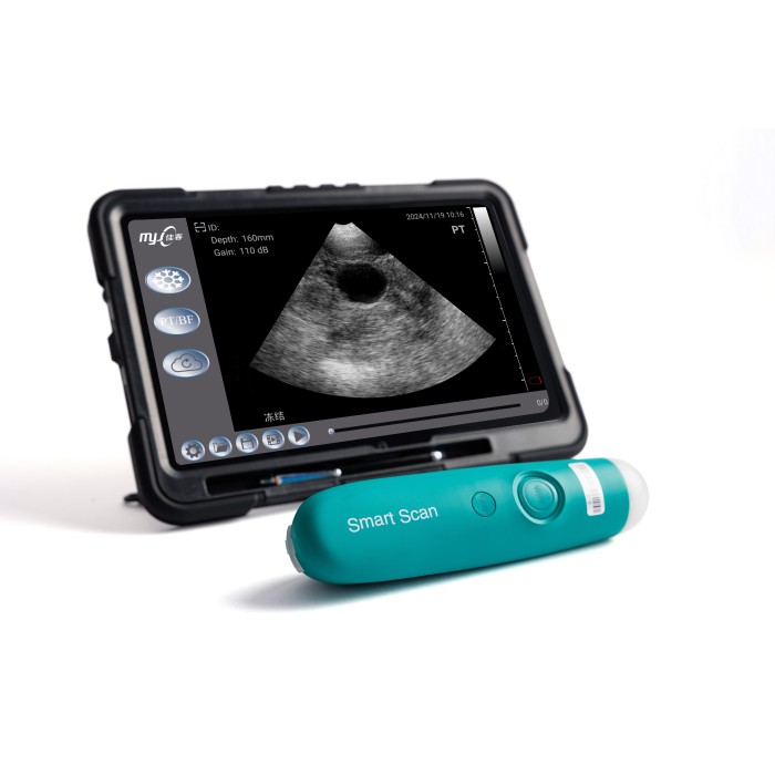 SmartScan D ultrasound for swine pregnancy test
