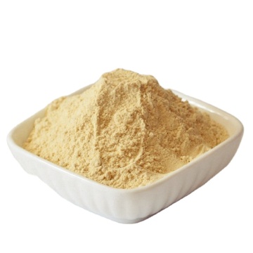2021 Neues Produkt: Natürlicher Lophatherum Gracile Briongn Extrakt 100: 1 Pulver