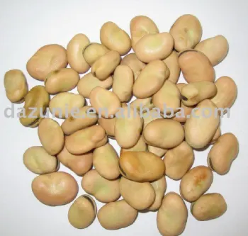 Broad Beans