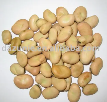 Broad Beans