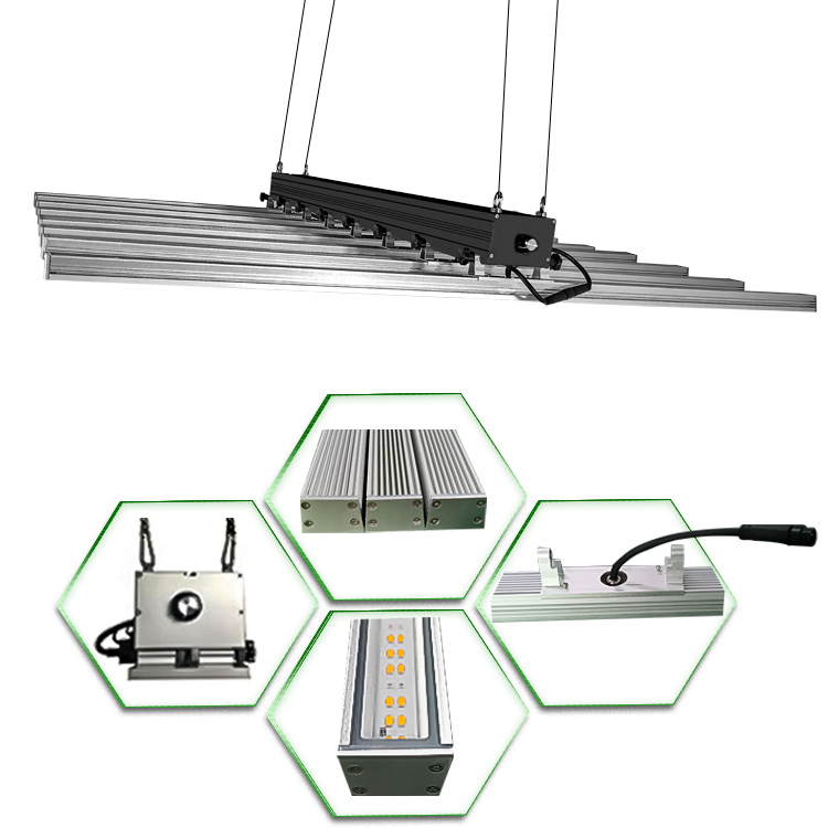 Lâmpada do dispositivo elétrico 650W para o crescimento vegetal interno da flor