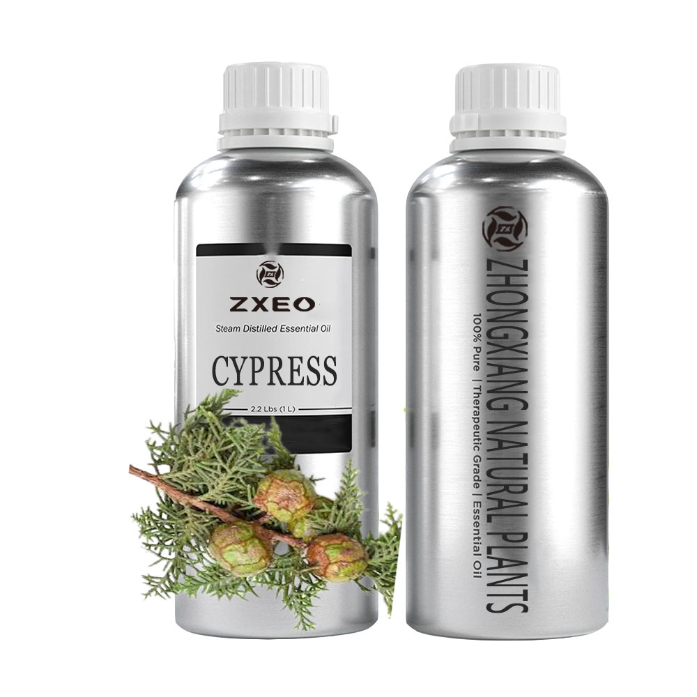 Harga Grosir Minyak Organik Esensial Cypress Alami untuk Diffuser dan Pijat