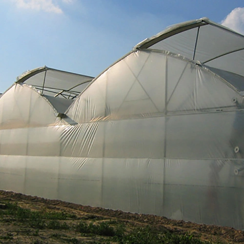  Canvas LJIANW - Película de polietileno para invernaderos,  cubierta de plástico transparente para invernaderos de 4 mil para túnel de  cultivo, 24 tamaños (color : transparente, tamaño: 9.8 x 16.4 ft) : Patio,  Césped y Jardín