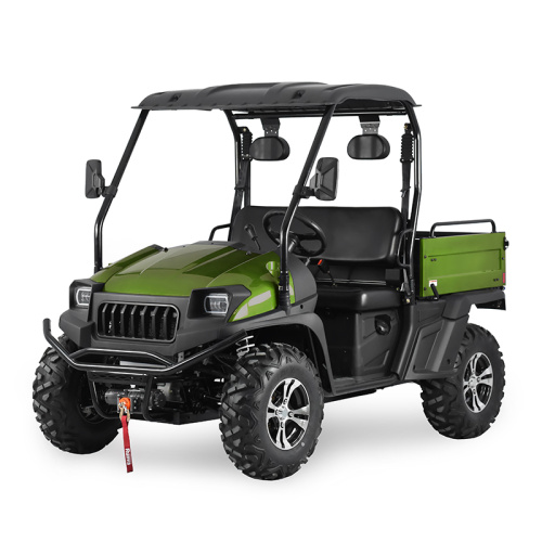 2022 Nuevo carrito de golf UTV de asiento tipo 4