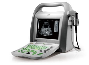 Full Digital Diagnostic Ultrasound Scanner / Vet Equipment