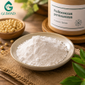 Cultivo de fermentación de Pediococcus Pentosaceus