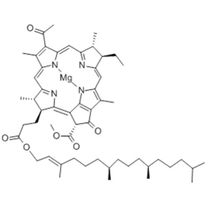 Name: Magnesium,[(2E,7R,11R)-3,7,11,15-tetramethyl-2-hexadecenyl(3S,4S,13R,14R,21R)-9-acetyl-14-ethyl-13,14-dihydro-21-(methoxycarbonyl)-4,8,13,18-tetramethyl-20-oxo-3-phorbinepropanoato(2-)-kN23,kN24,kN25,kN26]-,( 57271379,SP-4-2)- CAS 17499-98-8