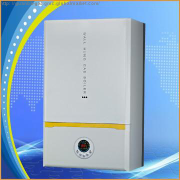 CE  instantaneous gas water heater