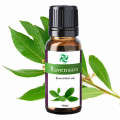 Fornece óleo essencial de alta qualidade Aroma Ravensara