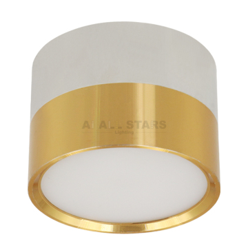GX53 LED -Downlight - Oberflächenmontage Deckenschein