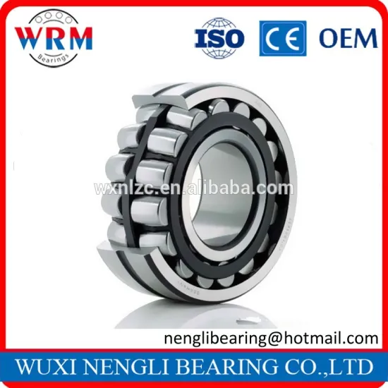 Eccentric bearing Cylindrical Roller Bearing NN3006