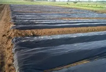 Gardening Film Embossed Plastic Mulch Film Weed Barrier