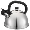 Classic Silver Whistling Kettle