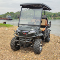 2-seater four-wheel golf cart