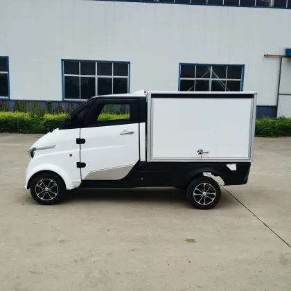 Mini Electric Delivery Van for Flower Delivery