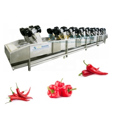 Industrial Air Blowing Red Chilli Drying Machine - Continuous Belt Dryer