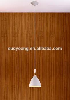 Modern New Design Indoor Decorative Aluminum Pendant Lamps (MD8114-1)
