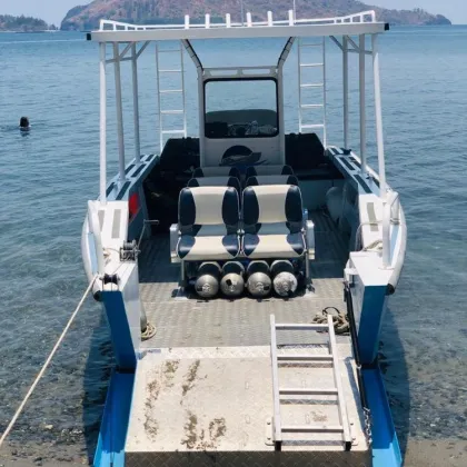 CE Certified 8m Aluminum Passenger Diving Boat Ship