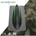 LED Grow Light Melhor para estufa/horticultura interna