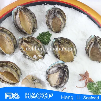 Seafood frozen abalone in abalone season