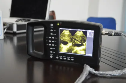 Best Sale Sample equine ultrasound mare pregnancy test for farm