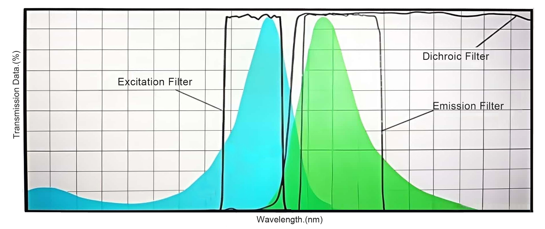 Filter Optik Mikroskop Fluoresensi Tingkat Lanjut