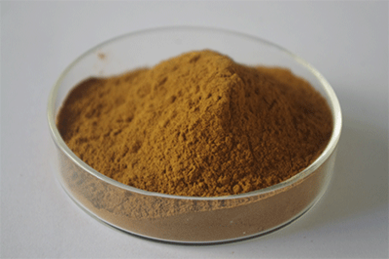 Herba Cynomorii Extract Herba Cynomorii Extract