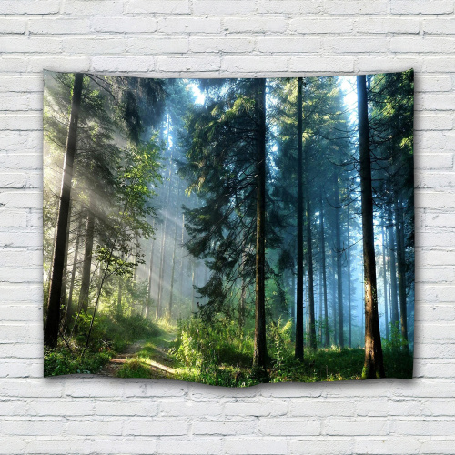 Forest Tapestry Wall Hanging Trees Trunks Green Blue Nature Sunlight Quiet Tapestry for Livingroom Bedroom Dorm Home Decor