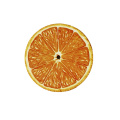 /msite/products/detail/productid/62316422/id/1501985.html