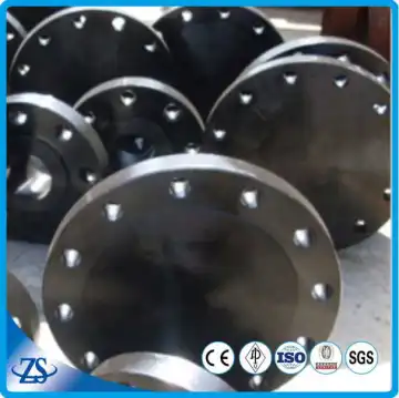 ANSI 300 42 Blind Flange