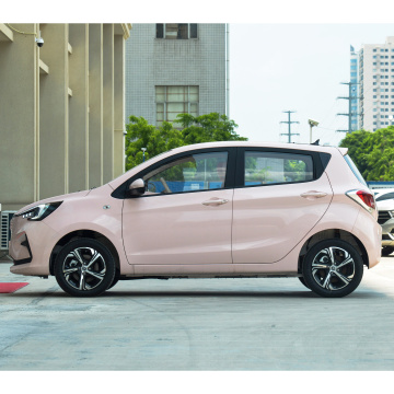 2023 CHANGAN Benben E-star: New Energy Electric Car