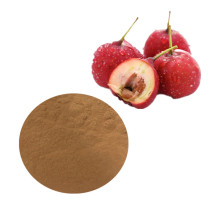 Hawthorn extract Flavones 5%