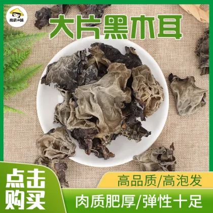 Black Fungus