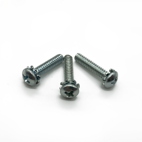 Pan Head Screw with washers