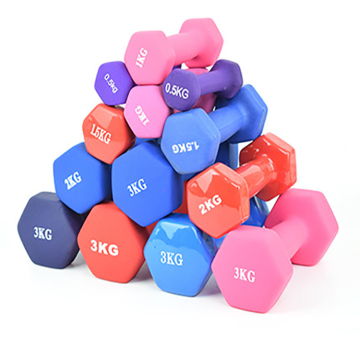High Quality Wholesale Cast Iron Vinyl Coated Colorful Dumbbells for Gym