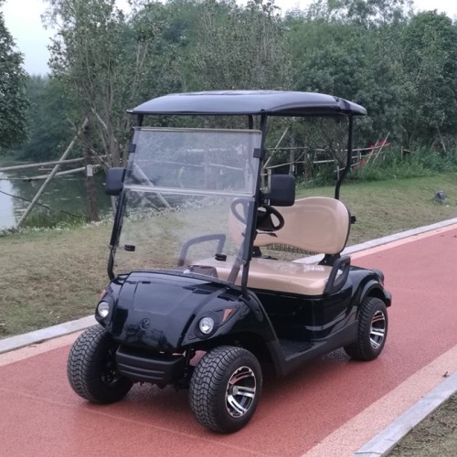 Chariot de golf antique de 4 places de vente chaude